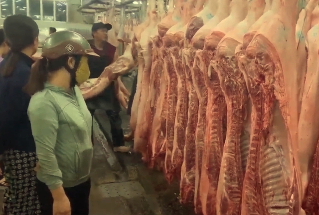 Giá heo hơi hôm nay 2.4.2025: Tiếp tục giảm sâu Giá heo hơi hôm nay 2.4.2025: Tiếp tục giảm sâu