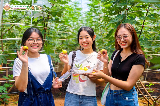 Suối Tiên rộn ràng Lễ 30.4: Giải nhiệt biển Tiên Đồng, khám phá vườn nho trĩu quả  - Ảnh 3.