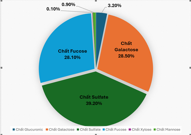 Hoạt chất fucoidan từ tảo nâu Mekabu Nhật Bản hỗ trợ sức khỏe người bệnh - Ảnh 2.