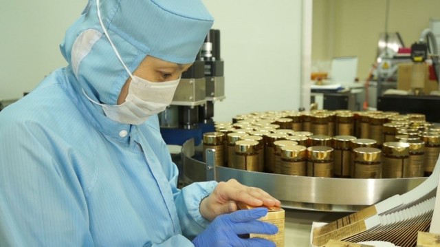 Hoạt chất fucoidan từ tảo nâu Mekabu Nhật Bản hỗ trợ sức khỏe người bệnh - Ảnh 1.