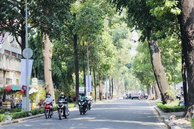 Sống ở TP.HCM: Kỳ thú “xóm thi sĩ” ở Q.3 - Ảnh 5.