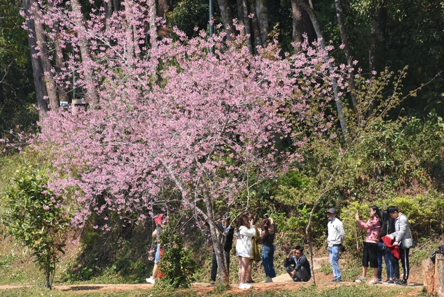 Cao tốc Quảng Ng&atilde;i - Kon Tum sẽ khởi c&ocirc;ng v&agrave;o năm 2026- Ảnh 2.