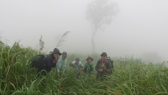 'Nữ đặc nhiệm' bảo tồn vượn đen má vàng giữa rừng sâu Chư Yang Sin- Ảnh 7.