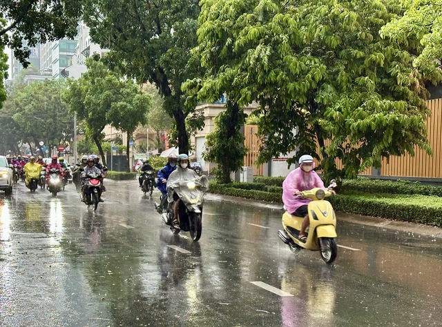 TP.HCM và Nam bộ tiếp tục có 'mưa vàng' giải nhiệt - Ảnh 1.