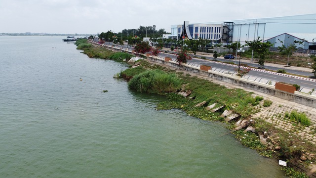 Sạt lở bờ kè sông Tiền - Ảnh 1.