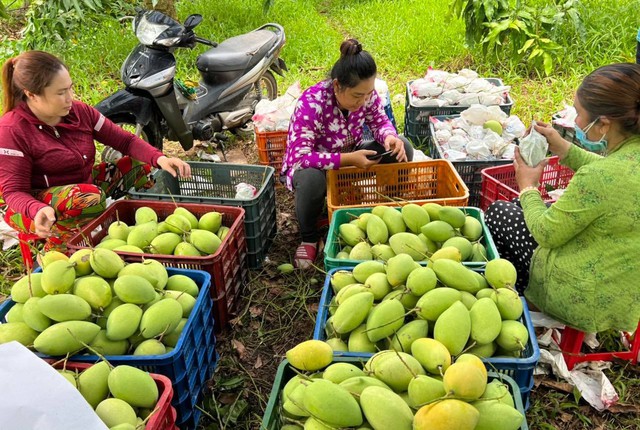 - Ảnh 2. - Ảnh 2.