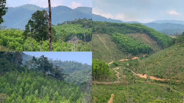 Vietourist Holdings tiên phong áp dụng Bộ tiêu chuẩn xanh, hướng đến tương lai bền vững- Ảnh 2.
