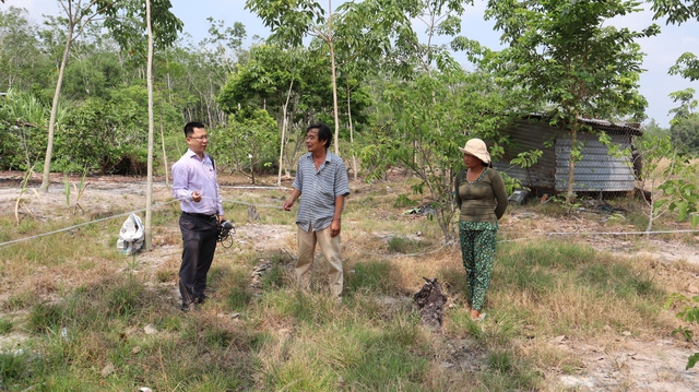 - Ảnh 5. - Ảnh 5.