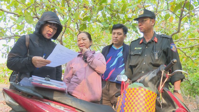 Thu hồi đất tại một dự án nông lâm nghiệp bị lấn chiếm gần 1.000 ha- Ảnh 1.
