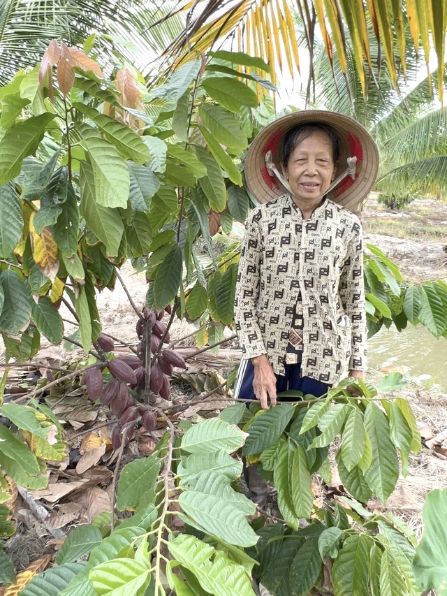 Bà con hưởng lợi từ những “ngôi sao nhỏ”- Ảnh 2. Bà con hưởng lợi từ những “ngôi sao nhỏ”- Ảnh 2.