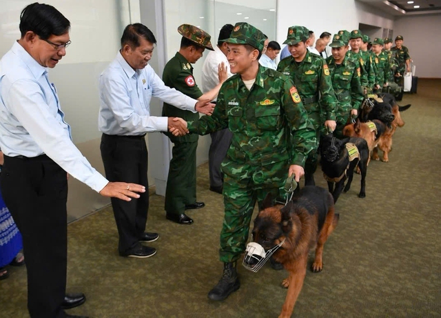Chuyện về những chú chó nghiệp vụ tham gia cứu nạn động đất ở Myanmar - Ảnh 1.