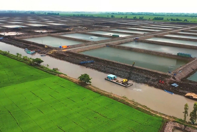 UOB Việt Nam và NAVICO hợp tác mở rộng thương mại xanh - Ảnh 5.