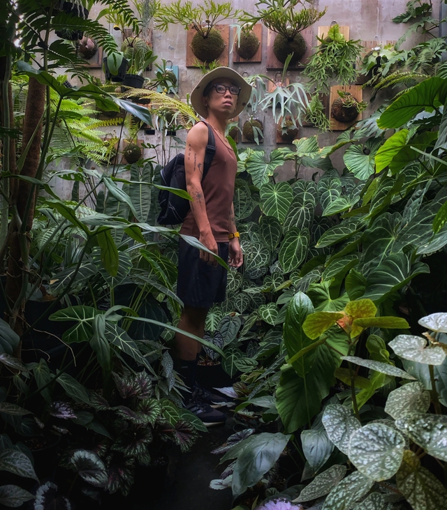 Ch&agrave;ng trai trồng vườn kiểng l&aacute; xanh mướt tr&ecirc;n s&acirc;n thượng - Ảnh 20.