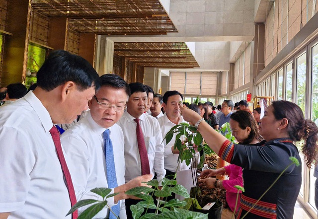 Tri thức dân gian sâm Ngọc Linh được công nhận là di sản Tri thức dân gian sâm Ngọc Linh được công nhận là di sản
