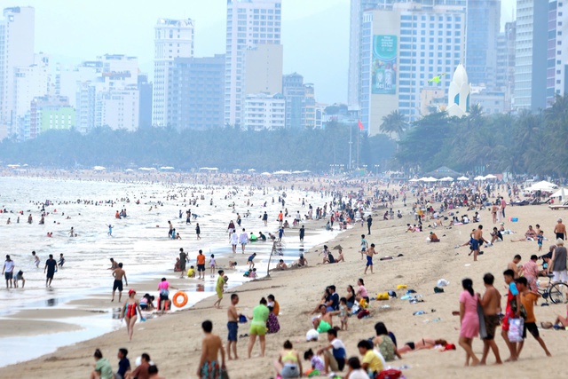 Xuất hiện sứa lửa tại bãi tắm biển Nha Trang: Hướng dẫn phòng tránh và sơ cứu - Ảnh 2.