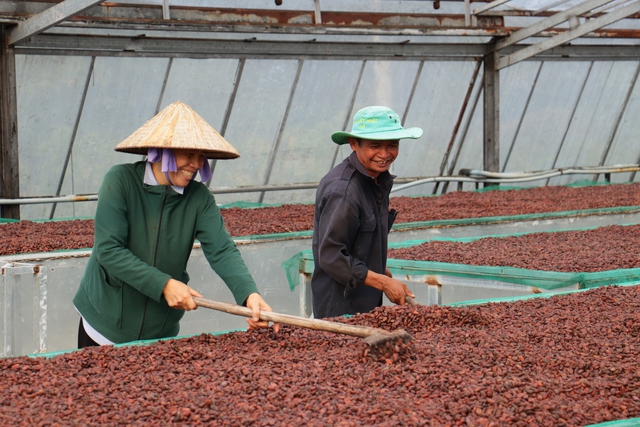 Để hồn Việt 'lên men' trong từng hạt cacao thủ công- Ảnh 2. Để hồn Việt 'lên men' trong từng hạt cacao thủ công- Ảnh 2.
