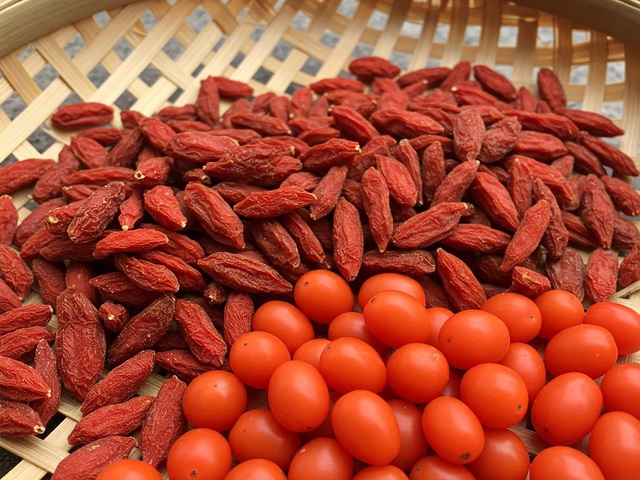 Tác dụng ngăn ngừa ung thư bất ngờ của kỷ tử Tác dụng ngăn ngừa ung thư bất ngờ của kỷ tử