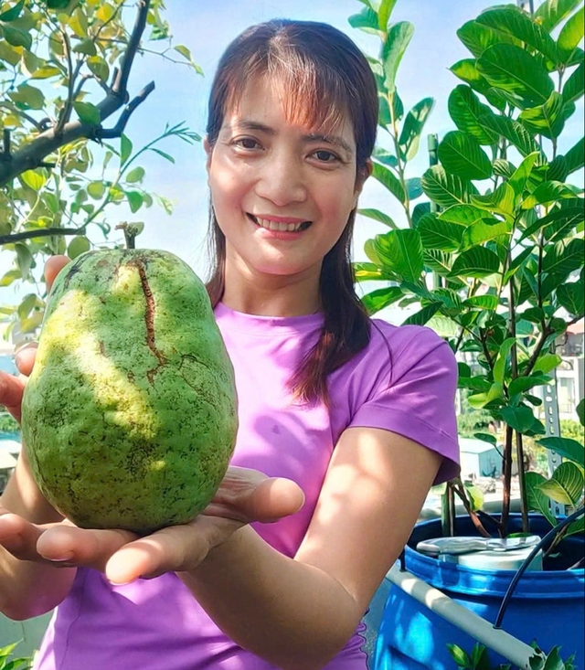 Cô ‘nông dân sân thượng’ đầu tư hàng trăm triệu đồng để có khu vườn sai quả- Ảnh 14. Cô ‘nông dân sân thượng’ đầu tư hàng trăm triệu đồng để có khu vườn sai quả- Ảnh 14.