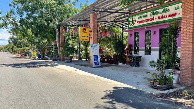 Vì sao sai phạm trong quản lý đất đai ở Mũi Né ‘nhùng nhằng’, không xử lý? Vì sao sai phạm trong quản lý đất đai ở Mũi Né ‘nhùng nhằng’, không xử lý?