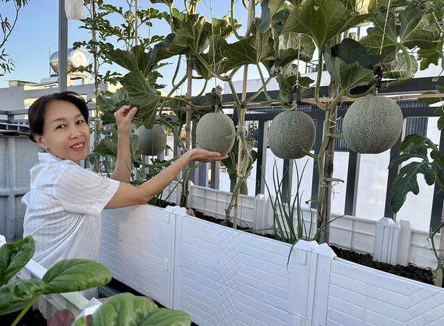 Gia đình ở TP.HCM 'tự cung tự cấp' rau sạch, trái cây nhờ vườn sân thượng - Ảnh 9.