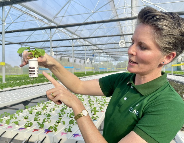 Giải ph&aacute;p n&ocirc;ng nghiệp sạch tỉ đ&ocirc; từ đ&aacute; thần kỳ Orlarock tại Việt Nam - Ảnh 4.