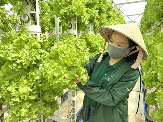 Giải ph&aacute;p n&ocirc;ng nghiệp sạch tỉ đ&ocirc; từ đ&aacute; thần kỳ Orlarock tại Việt Nam - Ảnh 5.