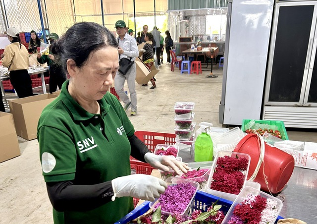 Giải ph&aacute;p n&ocirc;ng nghiệp sạch tỉ đ&ocirc; từ đ&aacute; thần kỳ Orlarock tại Việt Nam - Ảnh 2.