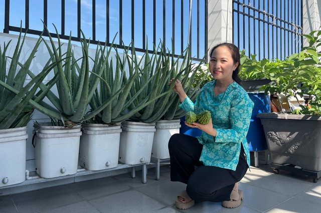 Gia đình trồng rau sạch trên sân thượng ở TP.HCM: Ăn không xuể, thích đem cho - Ảnh 10.