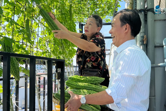 Gia đình trồng rau sạch trên sân thượng ở TP.HCM: Ăn không xuể, thích đem cho - Ảnh 3.