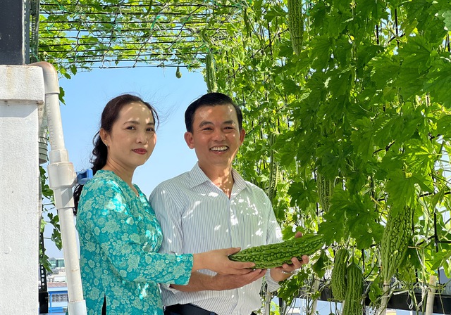 Gia đình trồng rau sạch trên sân thượng ở TP.HCM: Ăn không xuể, thích đem cho - Ảnh 14.