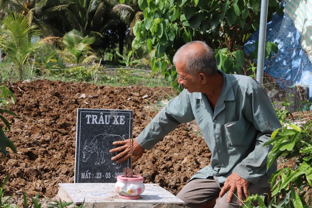 Độc nhất miền Tây: Lão nông dành tiền đi cứu mạng trâu bò tại lò mổ - Ảnh 5. Độc nhất miền Tây: Lão nông dành tiền đi cứu mạng trâu bò tại lò mổ - Ảnh 5.