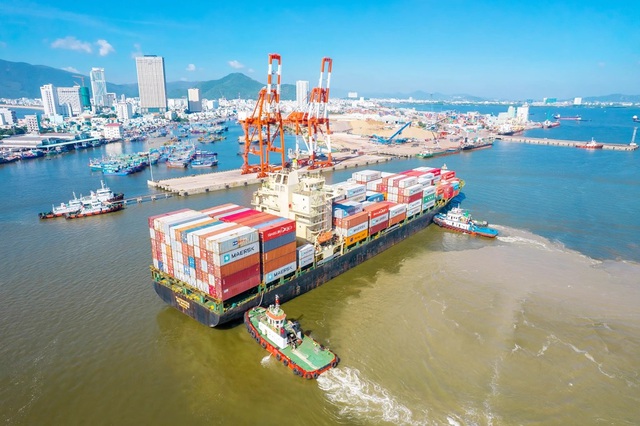 Y&ecirc;u cầu khẩn trương t&aacute;i định cư cho 56 hộ d&acirc;n để mở rộng cảng Quy Nhơn- Ảnh 1.