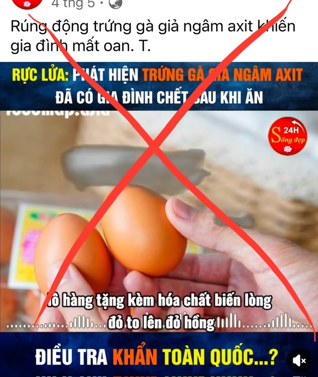 Tin đồn trứng gà giả khiến người chăn nuôi điêu đứng Tin đồn trứng gà giả khiến người chăn nuôi điêu đứng