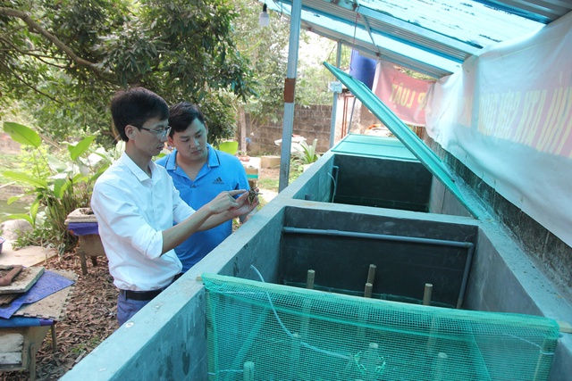 Thầy giáo Tuyên Quang làm giàu từ cà cuống- Ảnh 1.