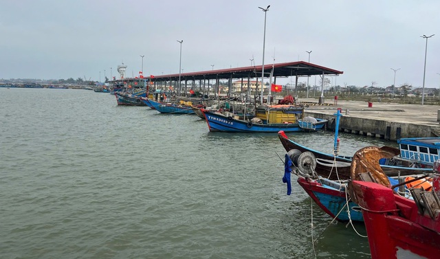 Cần sớm gỡ nút thắt cảng cá: Ngư dân vất vả tìm đường vào bờ - Ảnh 1.
