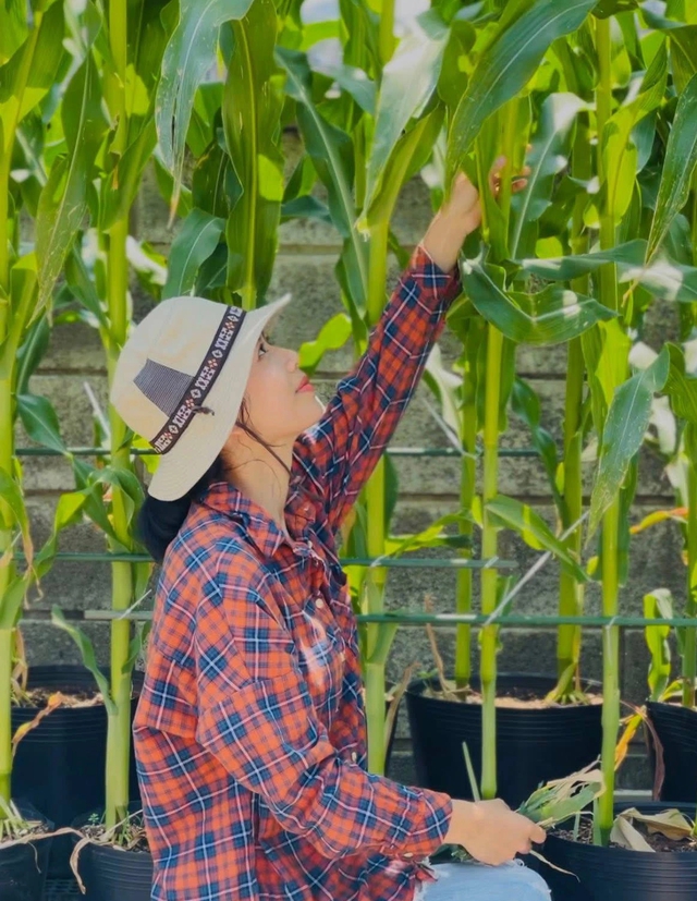 Khu vườn trên sân thượng trái nào cũng căng tròn tại Đà Nẵng - Ảnh 9.