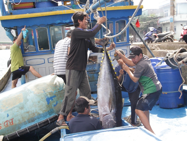 Bộ Tư pháp chỉ ra sai sót, nhiều cán bộ ở Bình Định bị kiểm điểm - Ảnh 1.