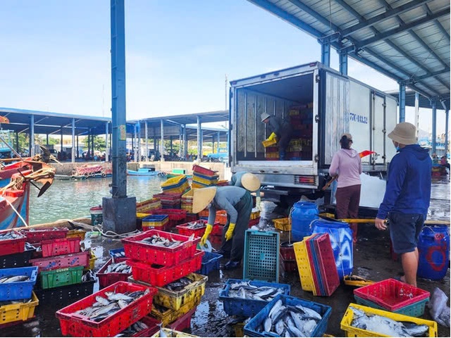 Tin tức đặc biệt trên báo in Thanh Niên 21.5.2025 - Ảnh 2.