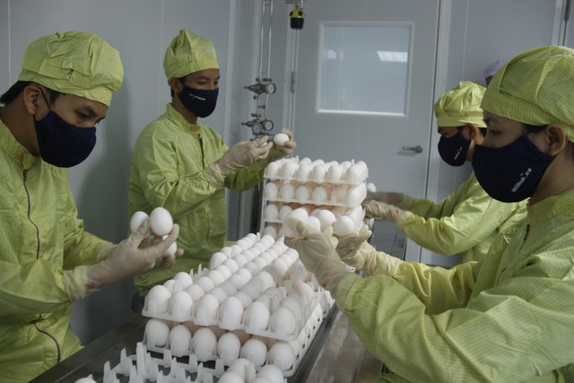 Vắc xin cúm mùa 3 chủng: Xu hướng và lợi ích   - Ảnh 2.