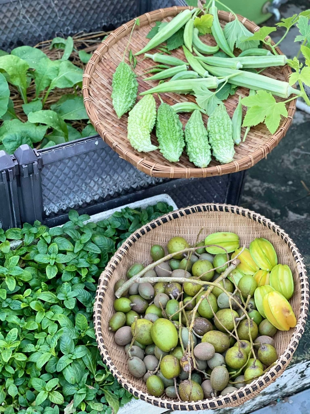 Trồng rau sạch trên sân thượng: Bán bớt 12 trái bí đỏ vì nhà ăn không hết - Ảnh 16.