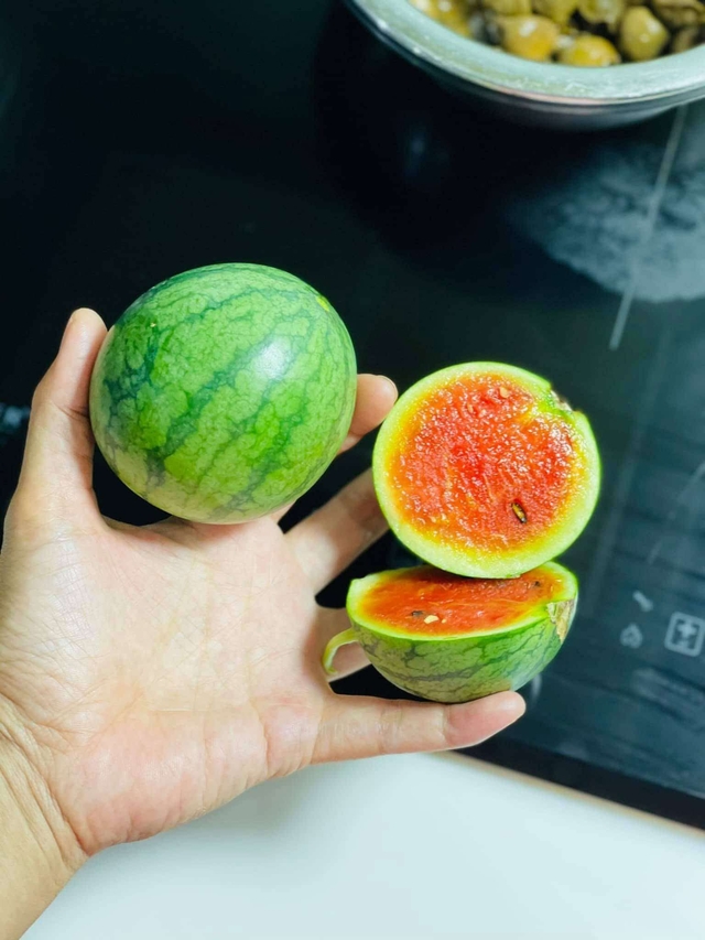 Trồng rau sạch trên sân thượng: Bán bớt 12 trái bí đỏ vì nhà ăn không hết - Ảnh 11.