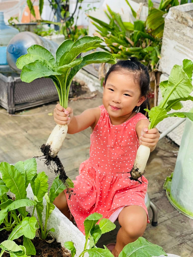 Trồng rau sạch trên sân thượng: Bán bớt 12 trái bí đỏ vì nhà ăn không hết - Ảnh 14.
