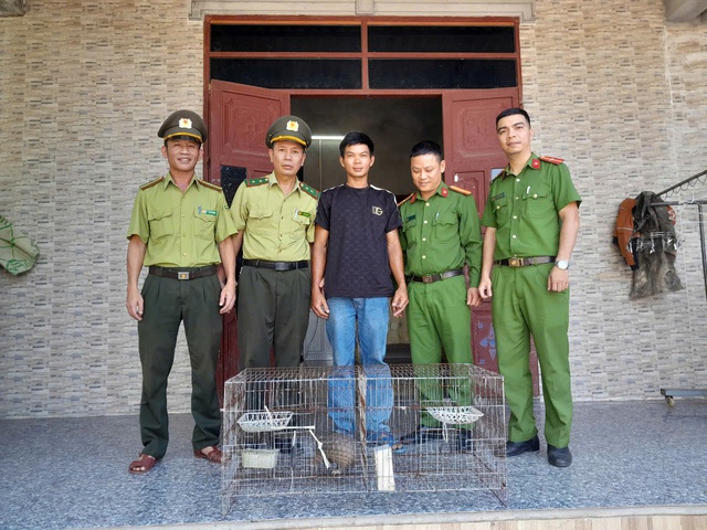 TP.Huế: Phát hiện tê tê quý hiếm đi lạc vào nhà dân TP.Huế: Phát hiện tê tê quý hiếm đi lạc vào nhà dân