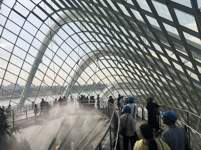 Vì sao Singapore là điểm đến lý tưởng của khách Việt?- Ảnh 2. Vì sao Singapore là điểm đến lý tưởng của khách Việt?- Ảnh 2.