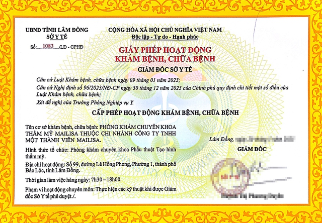 Mailisa Bảo Lộc được cấp phép những dịch vụ gì?- Ảnh 1.