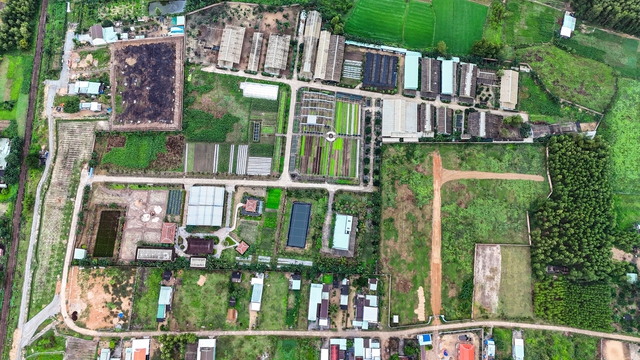 Bình Định: Dự án sản xuất rau an toàn tiếp tục bị ‘tuýt còi’ do vi phạm Bình Định: Dự án sản xuất rau an toàn tiếp tục bị ‘tuýt còi’ do vi phạm