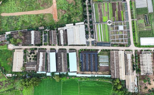 Bình Định: Dự án sản xuất rau an toàn tiếp tục bị 'tuýt còi' do vi phạm - Ảnh 5.