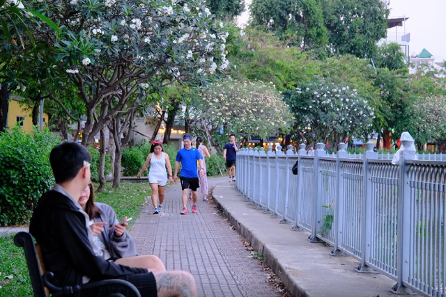 Chìa khóa nào giải nhiệt cho các siêu đô thị? Chìa khóa nào giải nhiệt cho các siêu đô thị?