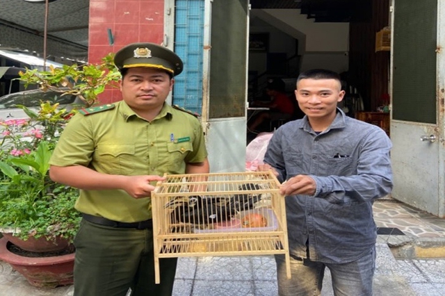 Thấy chim lạ bay vào vườn, không ngờ là chim cao cát bụng trắng quý hiếm Thấy chim lạ bay vào vườn, không ngờ là chim cao cát bụng trắng quý hiếm