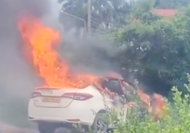 - Ảnh 1. - Ảnh 1.